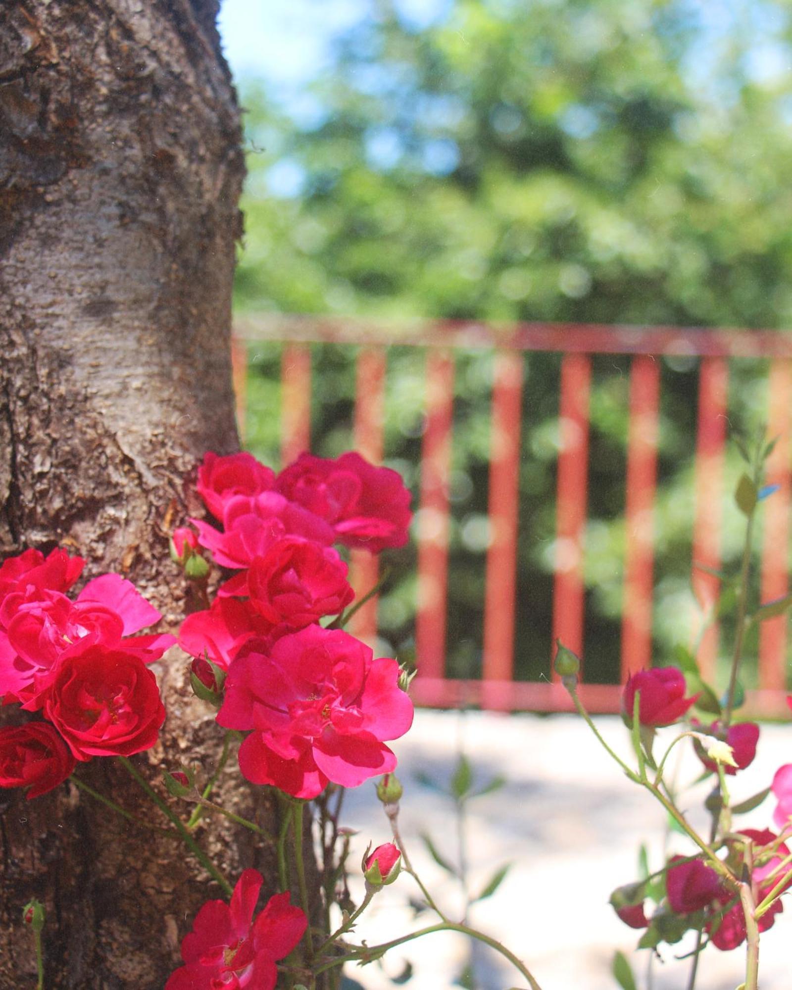 Geres - Aldeia Turistica De Louredo Villa วีเอย์รา ดู มีโญ ภายนอก รูปภาพ