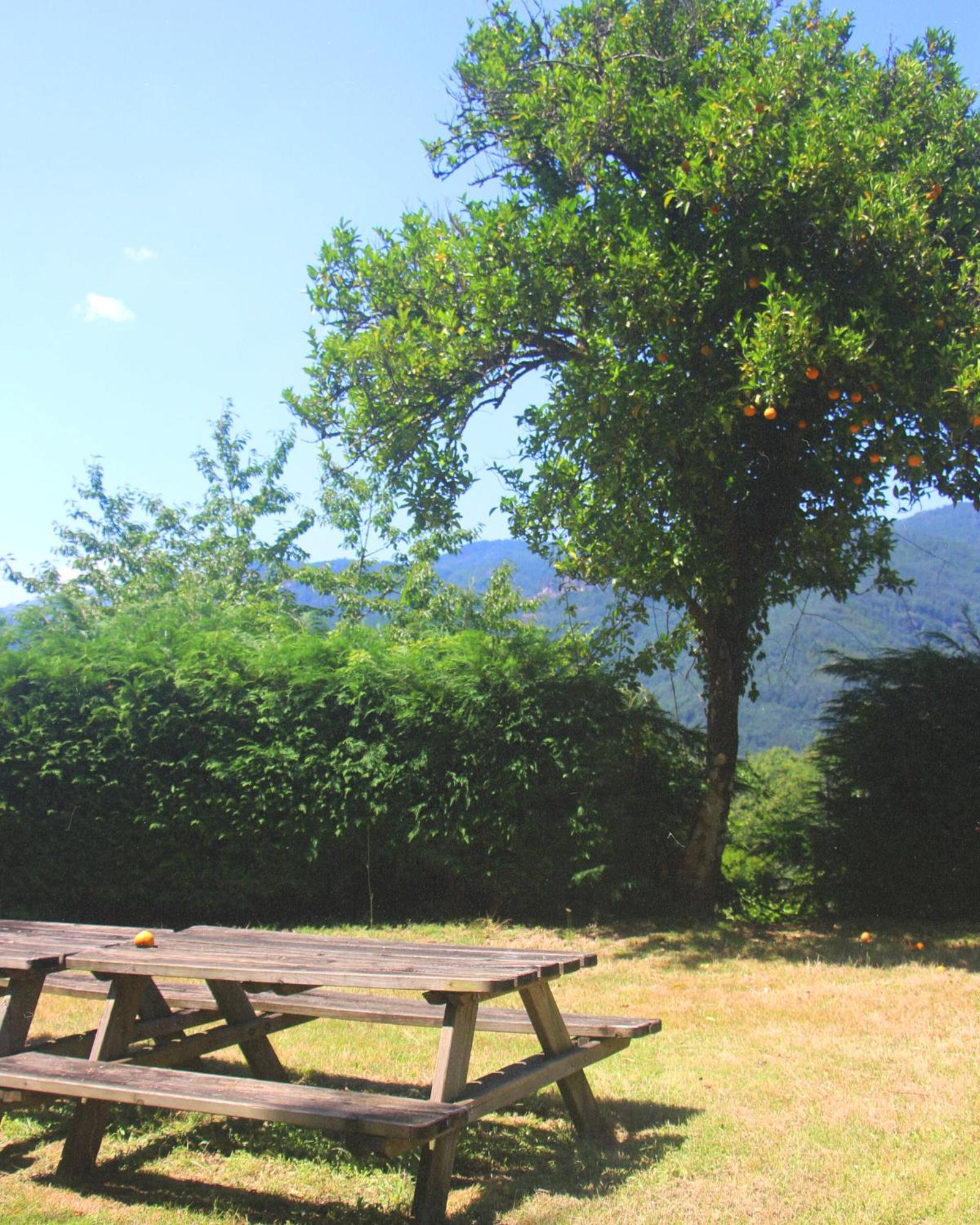 Geres - Aldeia Turistica De Louredo Villa วีเอย์รา ดู มีโญ ภายนอก รูปภาพ