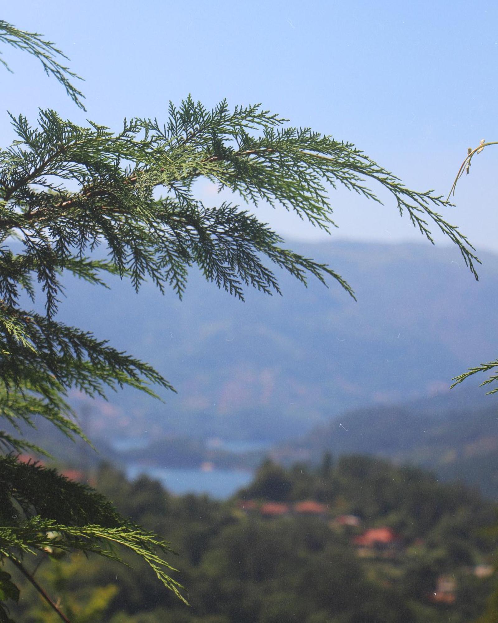 Geres - Aldeia Turistica De Louredo Villa วีเอย์รา ดู มีโญ ภายนอก รูปภาพ